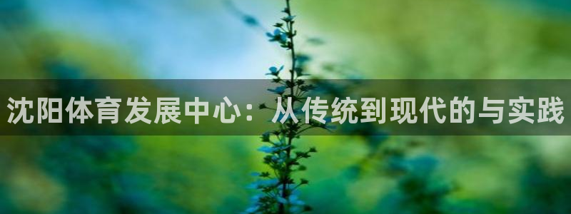 MK体育官网下载平台APP:沈阳体育发展中心:从传统到现代的