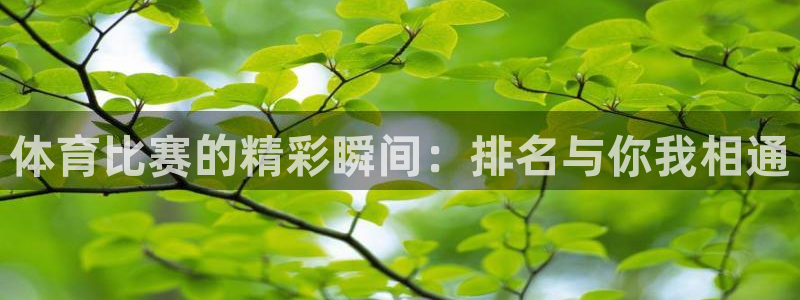 MK体育官方正版app代理:体育比赛的精彩瞬间:排名与你我相