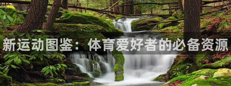 MK体育官方正版app娱乐首页网站大全:新运动图鉴:体育爱好