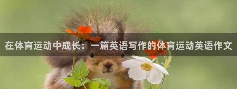 MK体育官网下载是干嘛的公司:在体育运动中成长:一篇英语写作